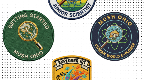 Beyond the Box: Your Summer Science Adventure Awaits!