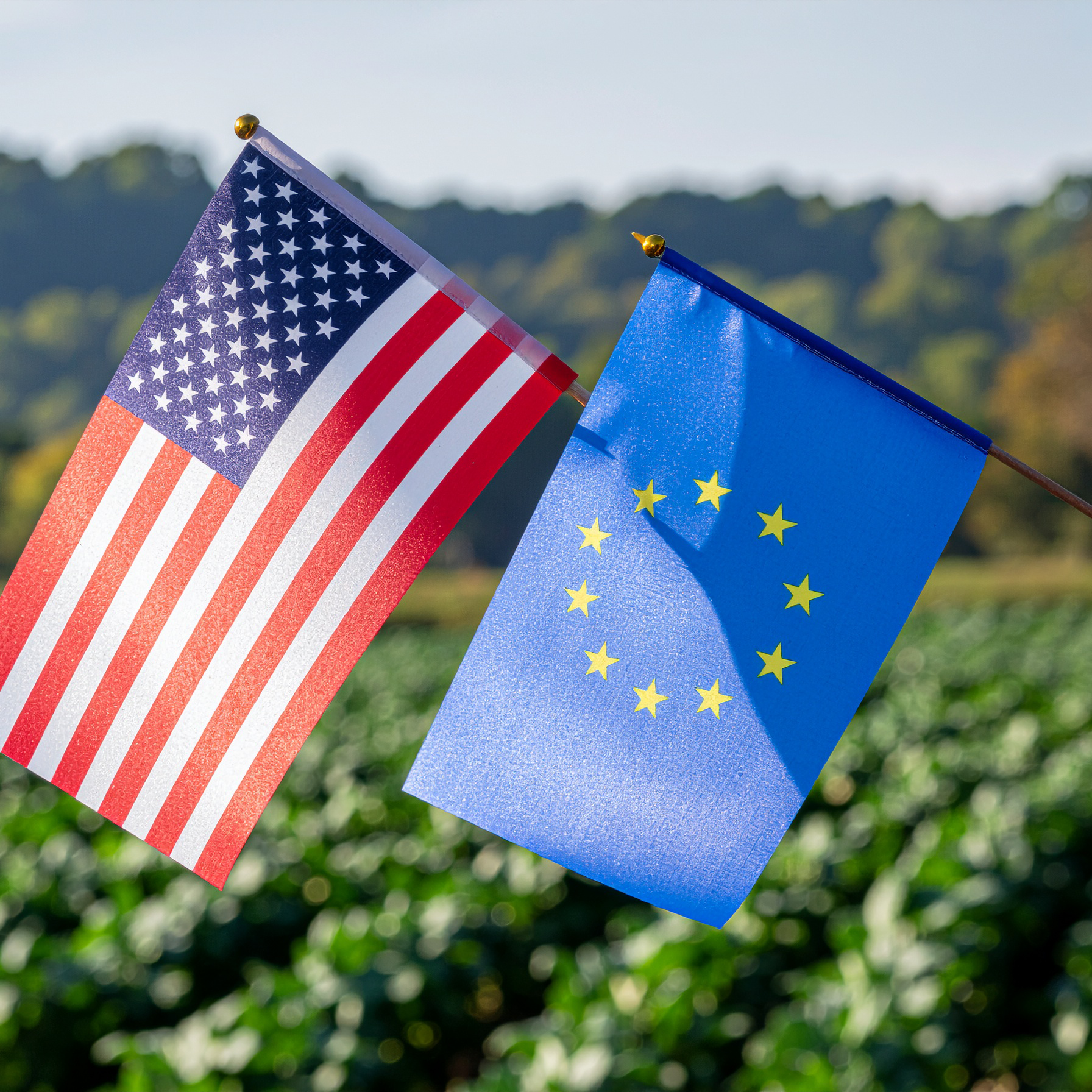 Mush Ohio Selected for Inaugural EU-U.S. Fellowship for Young Leaders in Agriculture