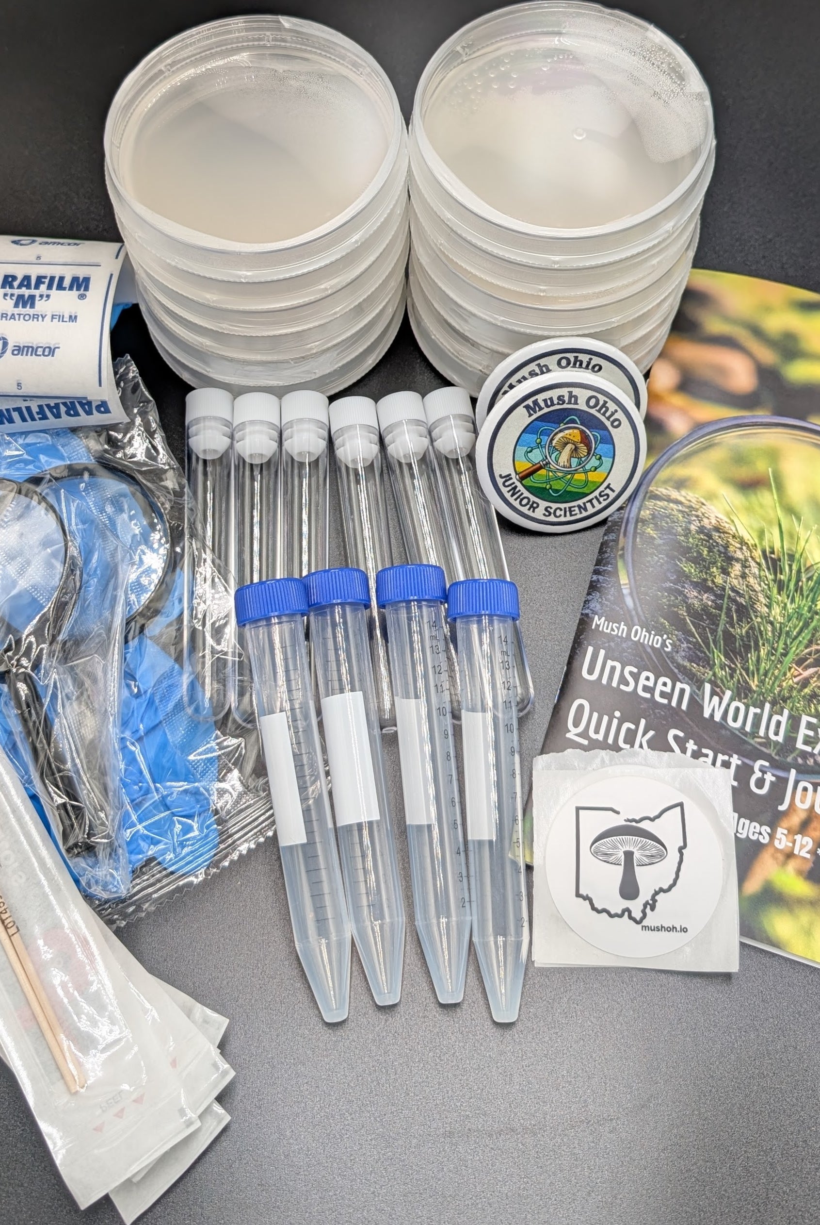 Family Discovery Kit