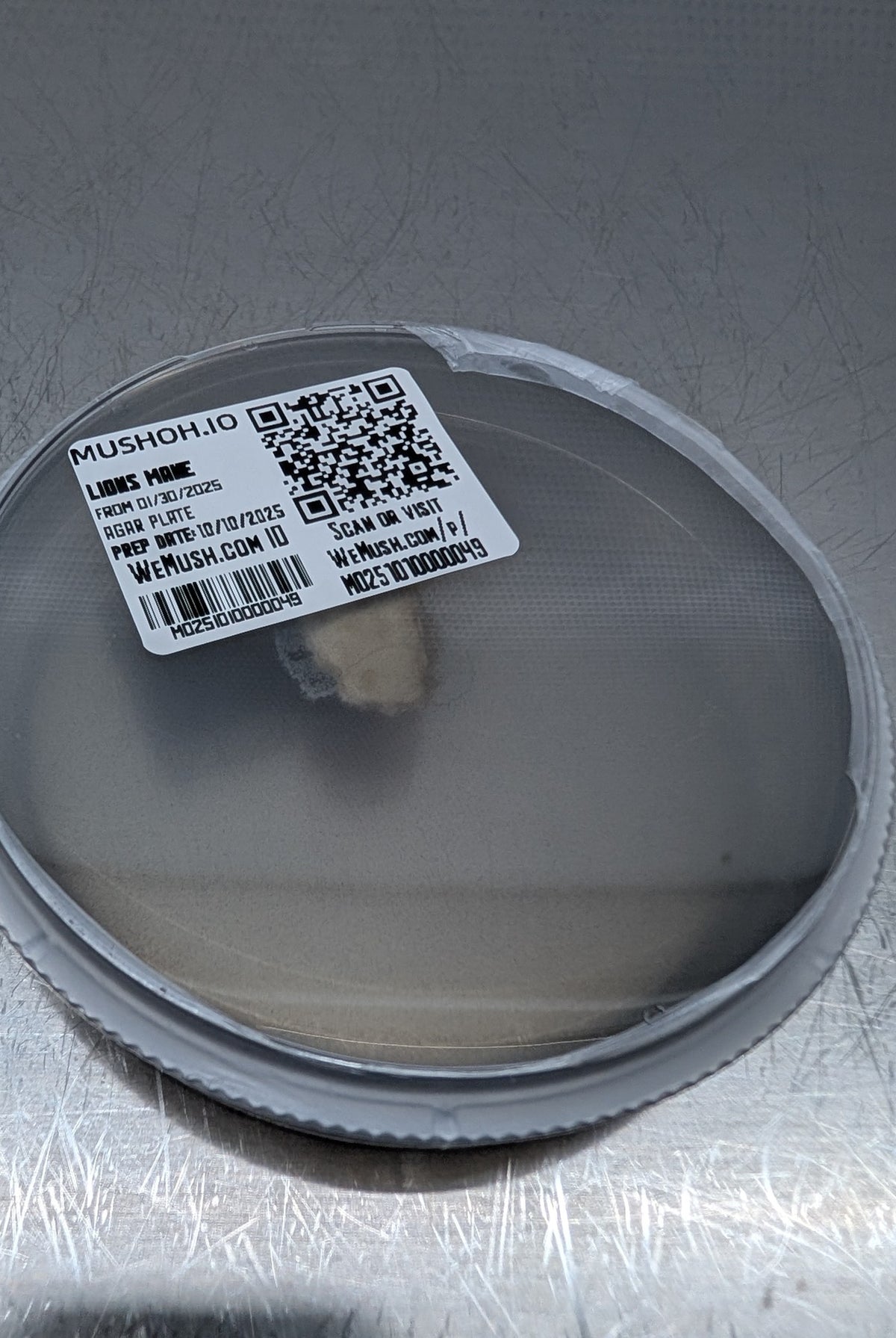 Lion's Mane culture plate with its WeMush tracking label