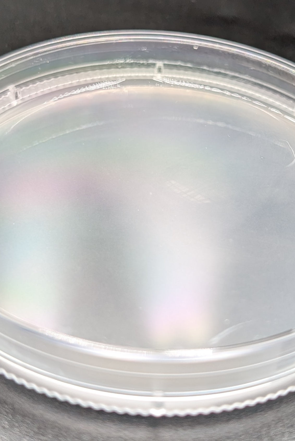 Foundation Series low-nutrient agar plates by Mush Ohio