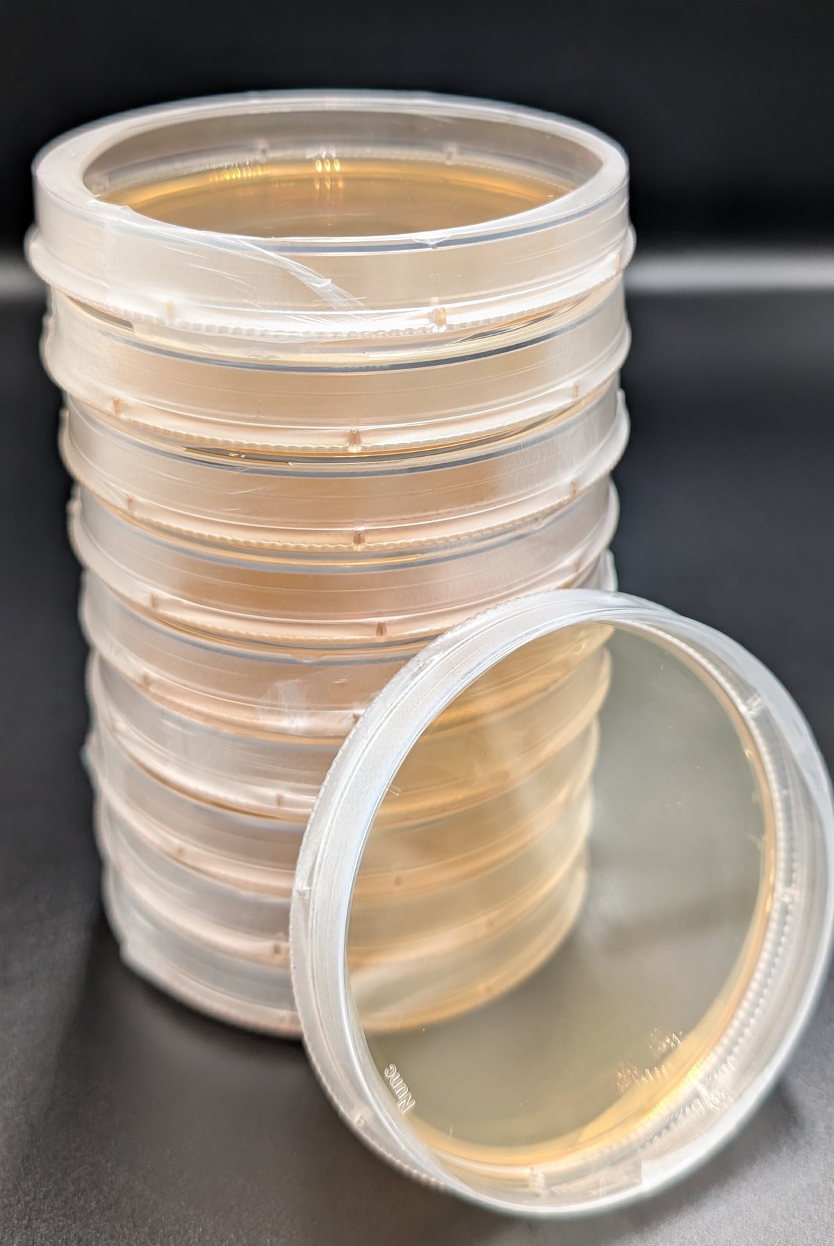 Mush Ohio prepared agar plates in 100mm petri dishes