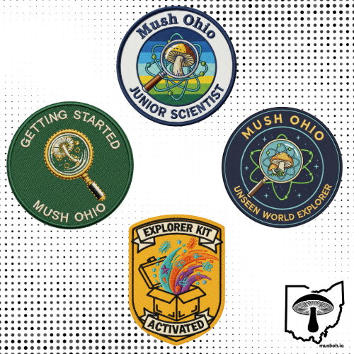 Beyond the Box: Your Summer Science Adventure Awaits!