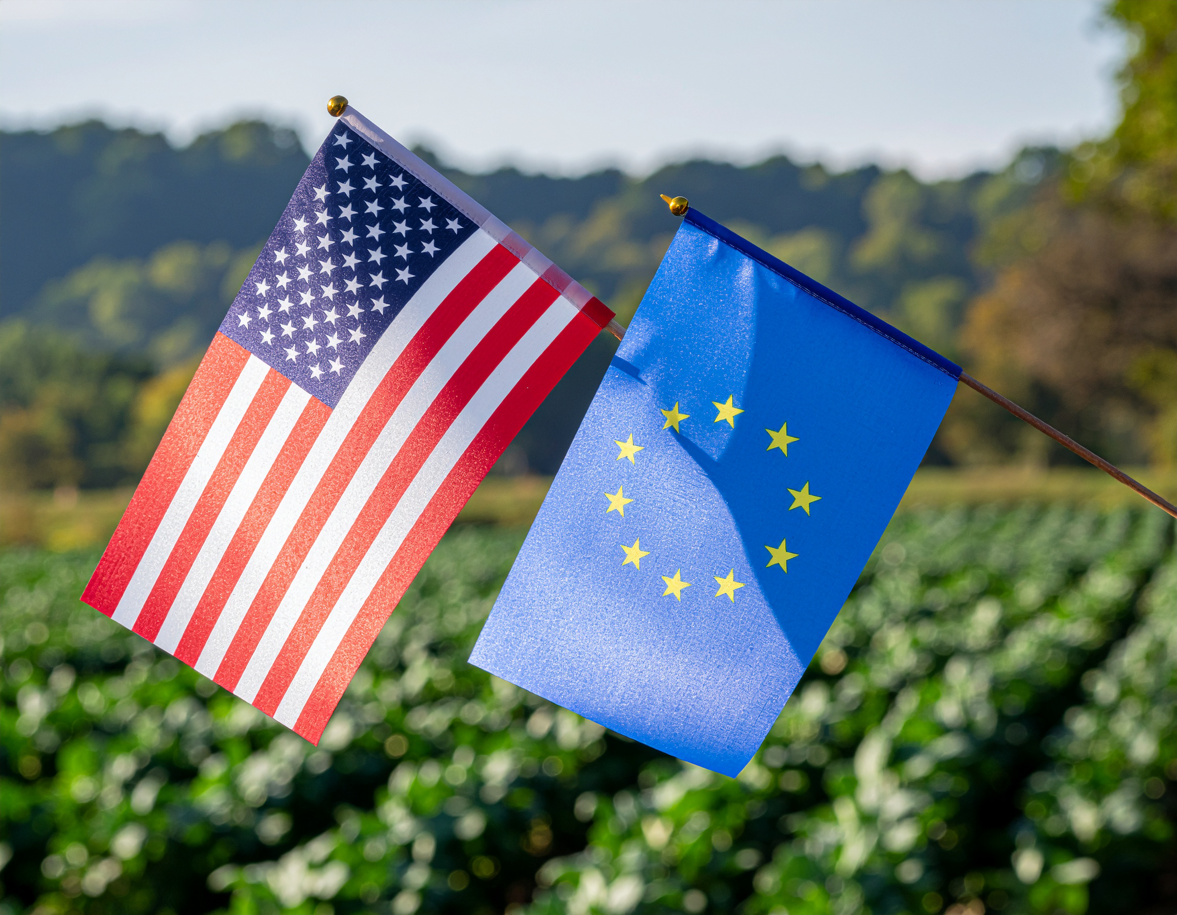 Mush Ohio Selected for Inaugural EU-U.S. Fellowship for Young Leaders in Agriculture